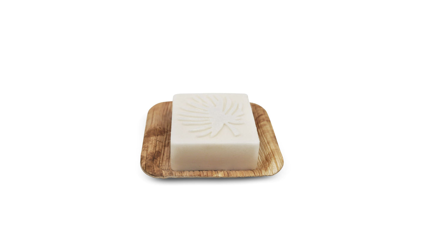 Coastal Kiss Tallow Bar Shimmering Leaves Edition