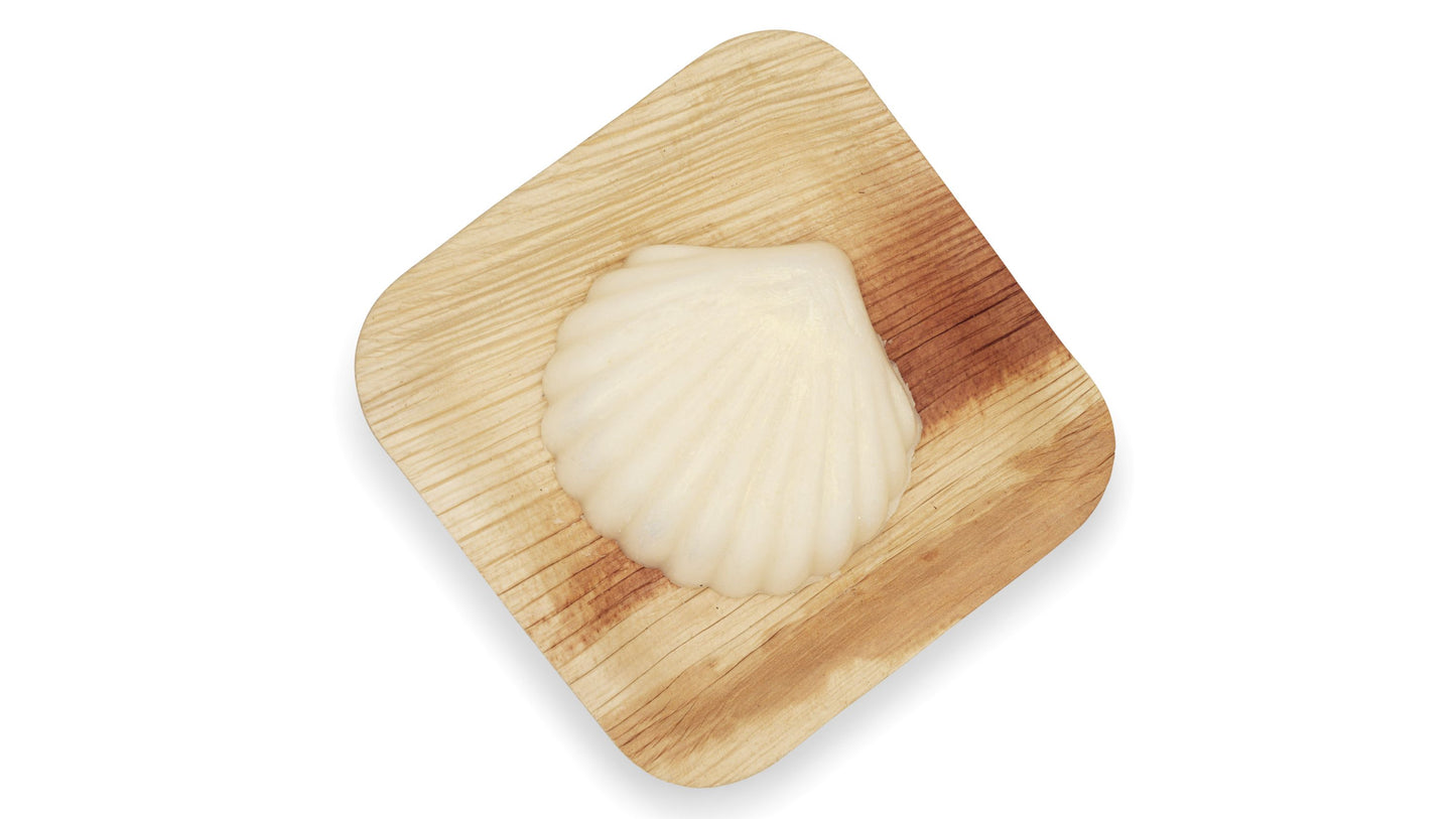 Shimmering Tallow Body Bar Shell